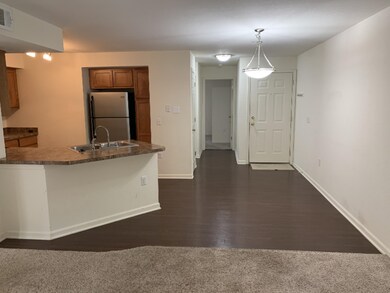 Living Dining Kitchen