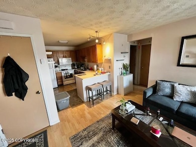 Living & Kitchen