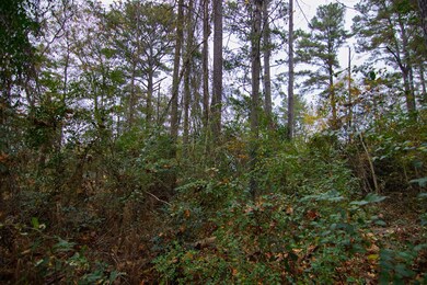 0 E Pine Lake Dr, West Point, GA 31833 - photo 7