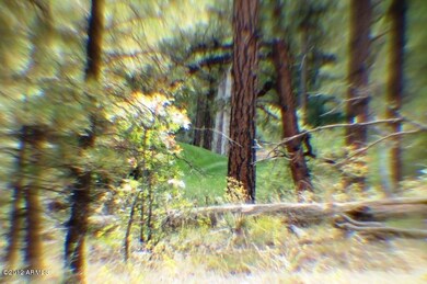 land 007