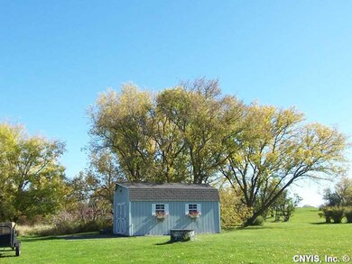 Shed