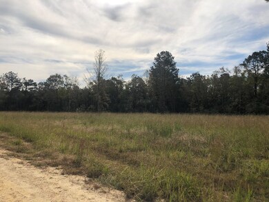 3 Moses Cove, Picayune, MS 39466 - photo 2