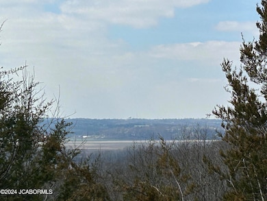 633 Emerald Point Rd, Summit Township, MO 65039 - photo 6