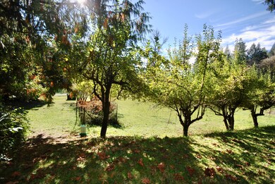 Fruit Trees
