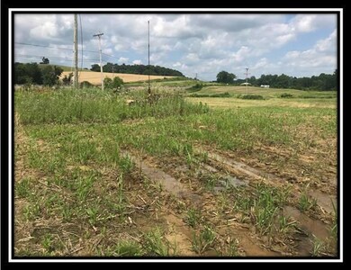 10177 Rankin Rd, Glenford, OH 43739 - photo 6