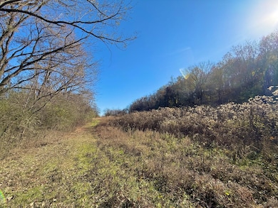 2170 Harris Rd, Lewisburg, TN 37091 - photo 4