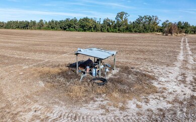 80AC NW 44th St, Jennings, FL 32053 - photo 6