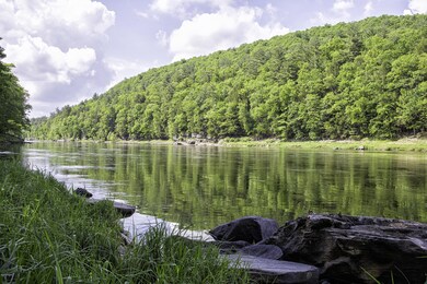 141 & 142 Mountain Top Rd, Lackawaxen Township, PA 18435 - photo 3