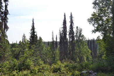 View from bluff