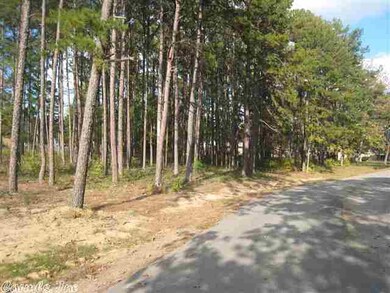 Lot 7 Blackberry Ln, Heber Springs, AR 72543 - photo 3