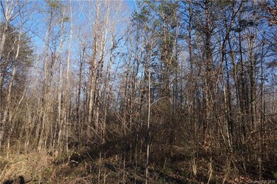 0 Wilkesboro Hwy, Statesville, NC 28625 - photo 4