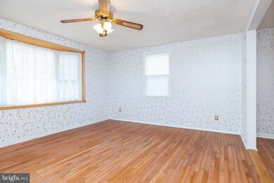 314 Olga Rd, Wilmington, DE 19805 - photo 5