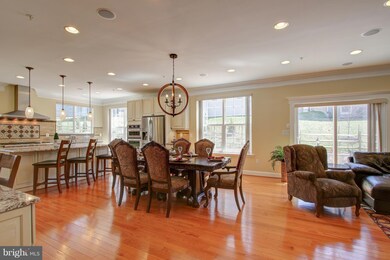 23006 Blue Flag Cir, Clarksburg, MD 20871 - photo 5