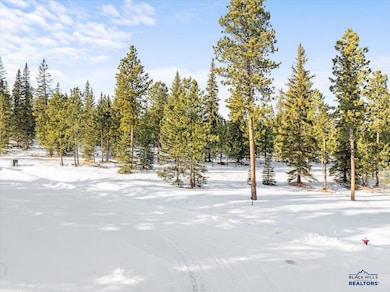 Lot 6 Block 6 Woodland Way, South Lawrence, SD 57754 - photo 3