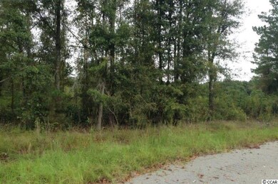 TBD Bridgebrook Ln, Conway, SC 29527 - photo 4