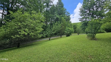 314 Observation Dr, Duffield, VA 24244 - photo 3