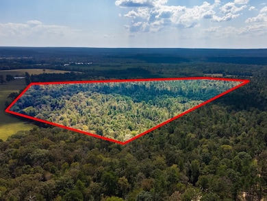 TBD County Road 2798, Shelbyville, TX 75973 - photo 2