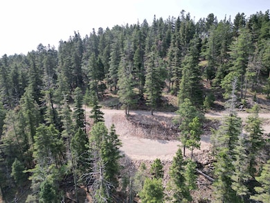 Lot 28 Clear Nite Rd, Cloudcroft, NM 88317 - photo 3