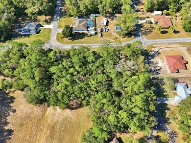 10441 N Biscayne Dr, Citrus Springs, FL 34434 - photo 5