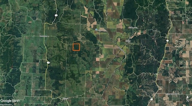 16459 State Highway J, Elmer, MO 63538 - photo 3