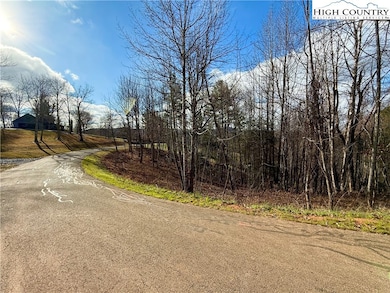 310 Autumn Run Rd, West Jefferson, NC 28694 - photo 7