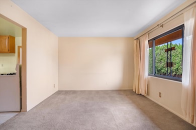 3812 Comanche Rd NE, Albuquerque, NM 87110 - photo 7