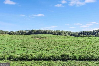 441 Expressway, Mount Airy, GA 30563 - photo 7