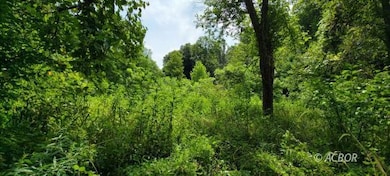 Lot 6 Sanner Rd, Nelsonville, OH 45764 - photo 5