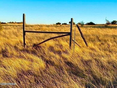 5467 Dusty Rd, Snowflake, AZ 85937 - photo 4