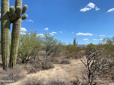 +/-40acres S Davis Ranch Rd, Marana, AZ 85658 - photo 4