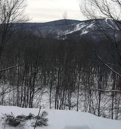 2265 W Side Rd, North Conway, NH 03860 - photo 6