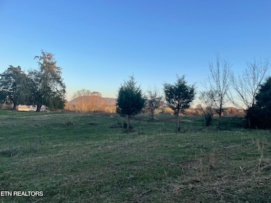 0 Rodgers 30 Acres Rd, Corryton, TN 37721 - photo 5