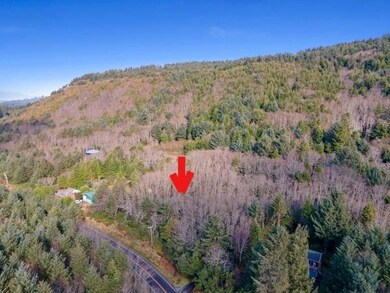 V/L Cape Meares Loop Rd, Oceanside, OR 97141 - photo 3