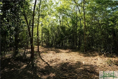 0 Floyd Rd unit Lot 9 328851, Pembroke, GA 31321 - photo 6