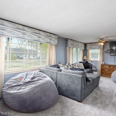 4900 Richelieu Ave, Sheffield Lake, OH 44054 - photo 5