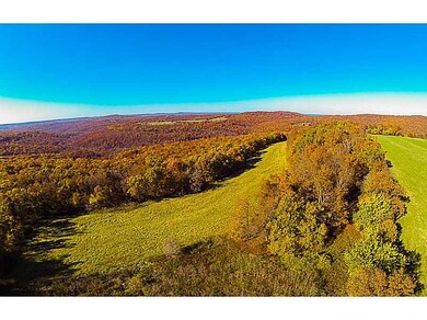14607 Truelove Rd, West Fork, AR 72774 - photo 2