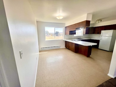 12 Cedar Dr, Norwood, CO 81423 - photo 3