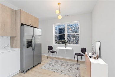 4537 S Evans Ave unit 2, Chicago, IL 60653 - photo 4