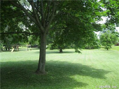 Exterior Front Park like 1 acre lot with creek