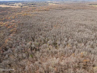 DJI_20250324104158_0129_D
