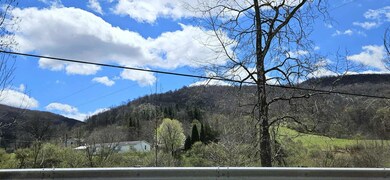 38162 Seneca Trail, Slatyfork, WV 26291 - photo 6
