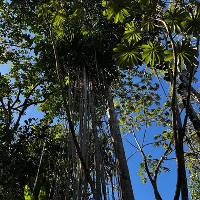 0 Oopu St unit 725856, Hawaiian Beaches, HI 96778 - photo 3