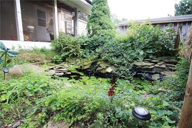 lily pond