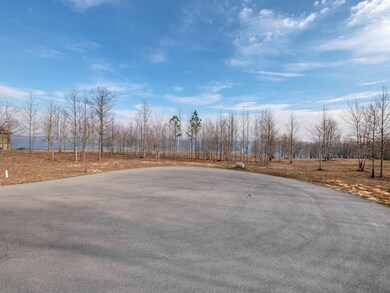 0 Hovering Hawk Dr unit RTC2912800, Jasper, TN 37347 - photo 5