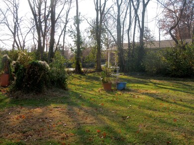 Nice back yard!