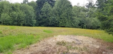 230 Mountview Ln, Ethel, WA 98542 - photo 4