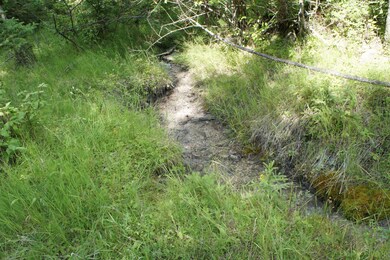 1100 Spring Hill Rd, Kila, MT 59920 - photo 3