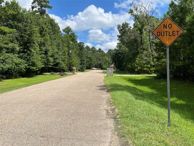 11960 White Oak Run, Conroe, TX 77385 - photo 4