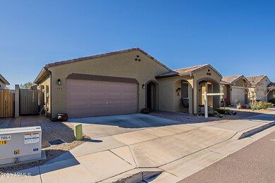 Mesquite-1