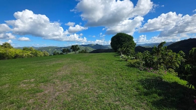 Bo. Río Hondo Carr 156 Km 2 5 Hm 29 4 Sector La Junc, Comerío, PR 00782 - photo 6